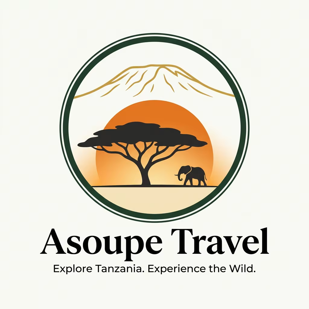 Asoupe Travel Logo